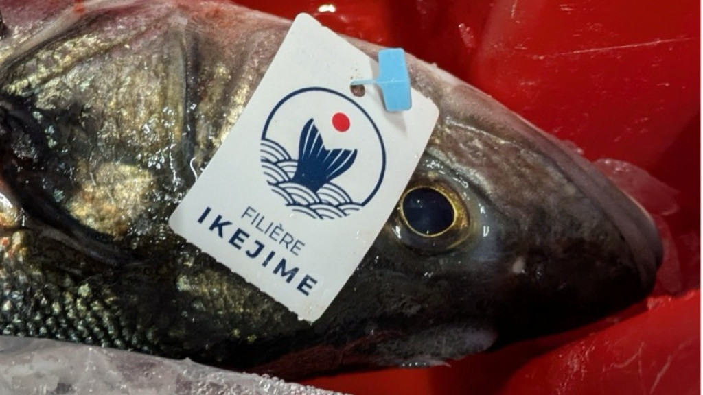 Ikejime « Made in France »