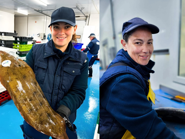 Elles ont trouvé leur place au cœur du mareyage en Pays de la Loire