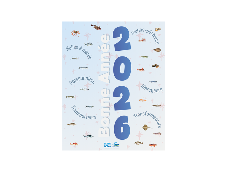 Meilleurs vœux 2026